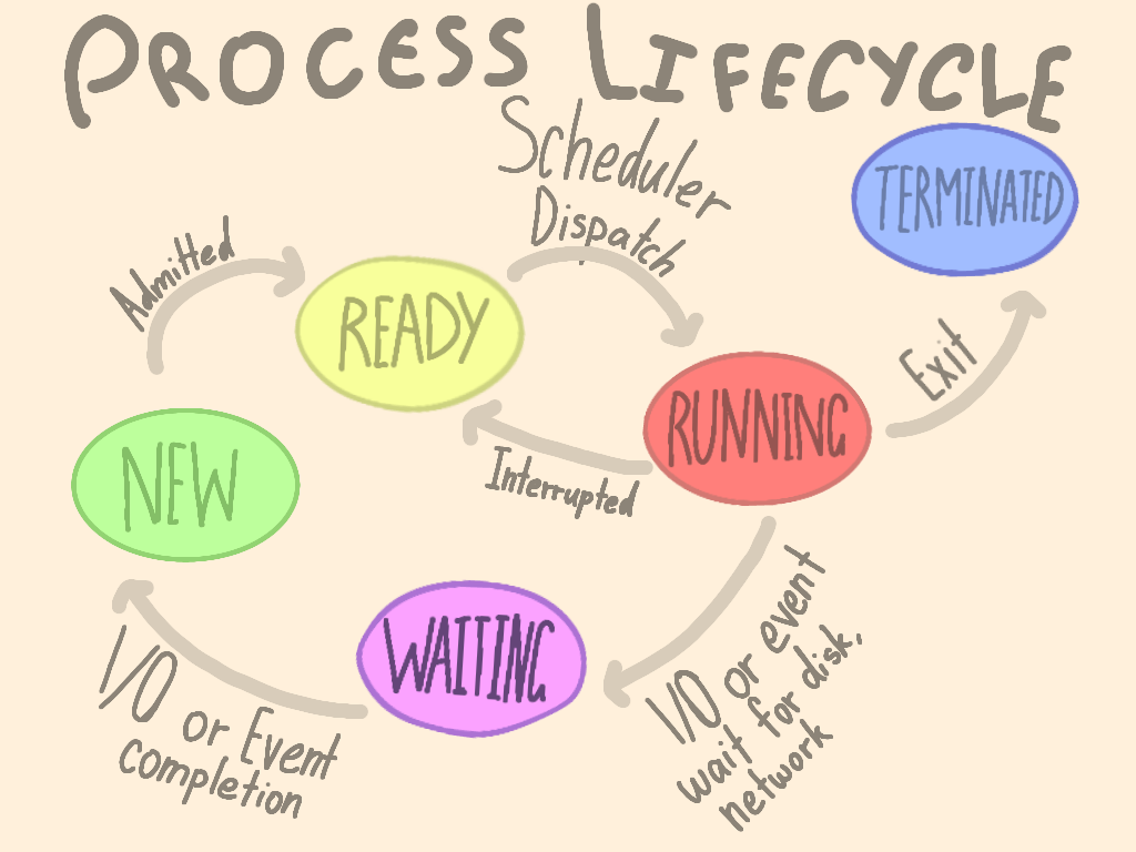 Process Lifecycle